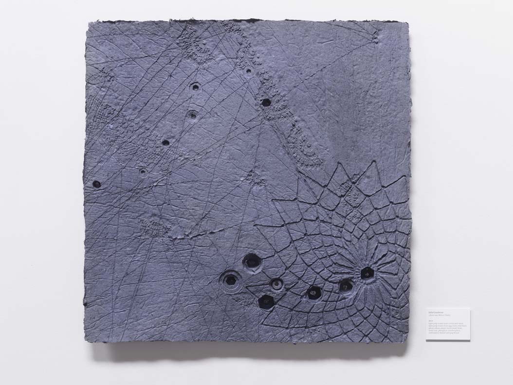 Star Gazers (Recology 2)