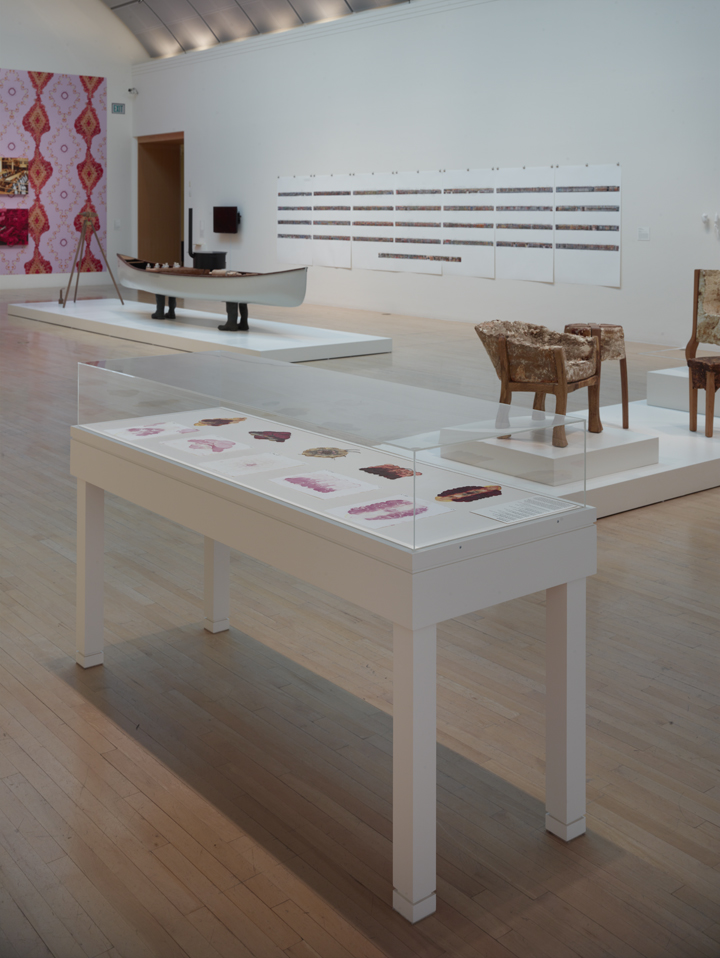 San Jose Museum Installation Shots