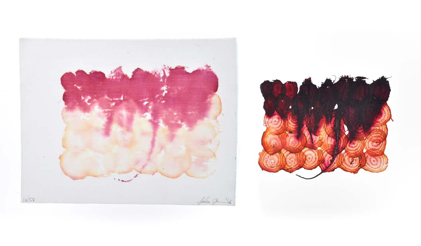 beet papyrus & corresponding stain