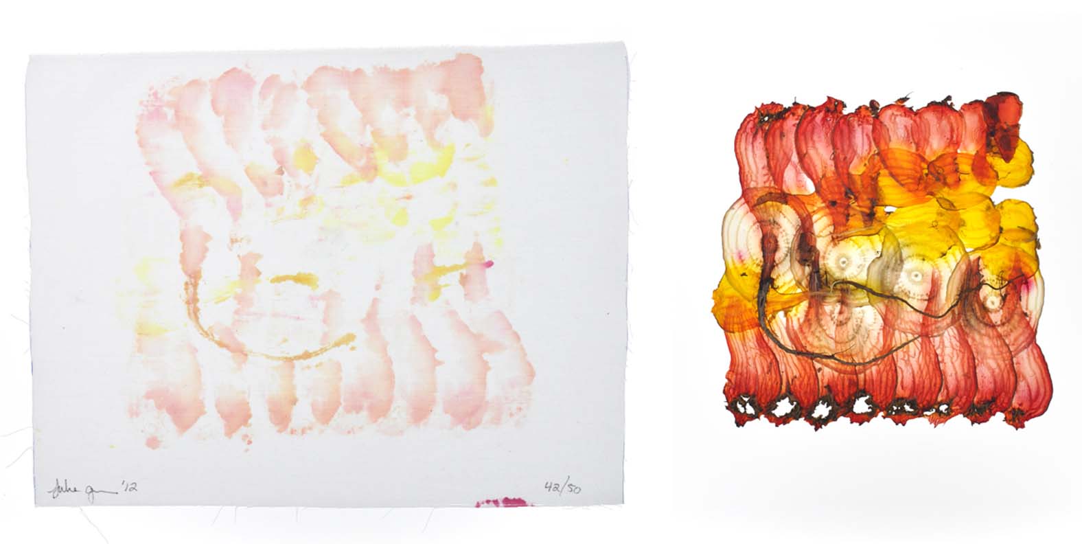 beet papyrus & corresponding stain